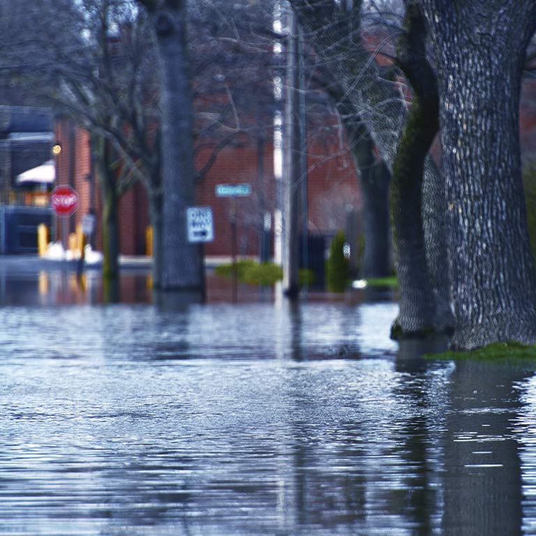 A street with trees submerged in water due to a flood