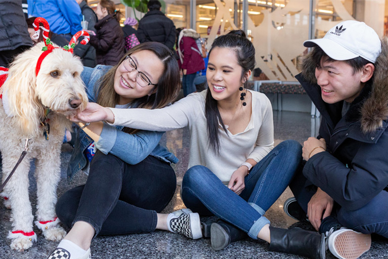 Two young women and a young man sit cross-legged on the floor of the IUPUI campus center—the woman in the center of the group is petting a therapy dog dressed in a Christmas sweater.